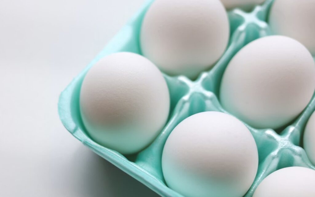 White eggs in light green foam carton