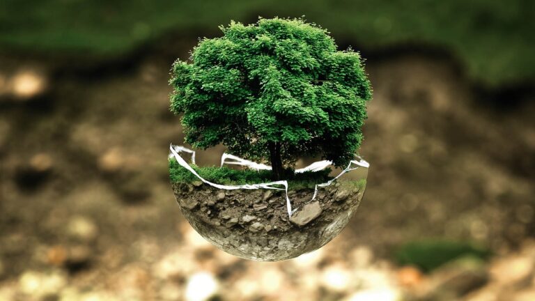 ESG Environment