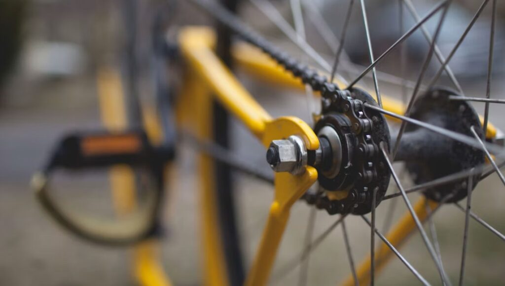 Bike - rear tire sprocket and chain