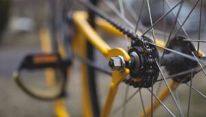Bike - rear tire sprocket and chain