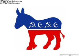 Democrat donkey