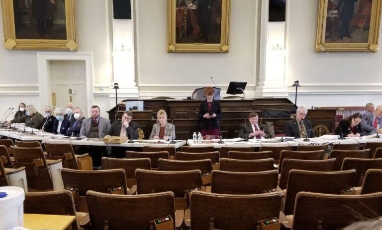 NH House Committee meetingin the House chamber -