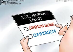 mid term ballot