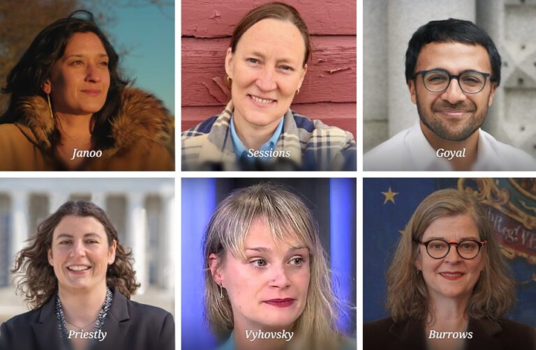 Vt dems progressives